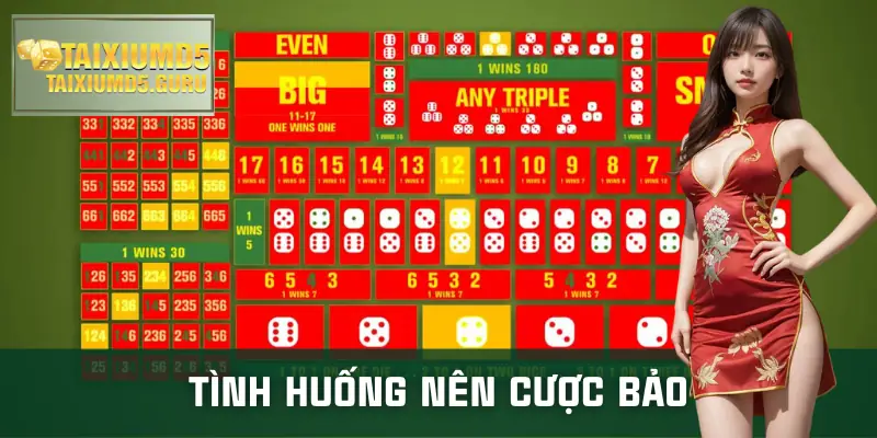 bao-trong-tai-xiu-tinh-huong