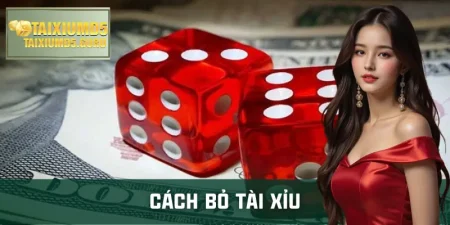 cach-bo-tai-xiu