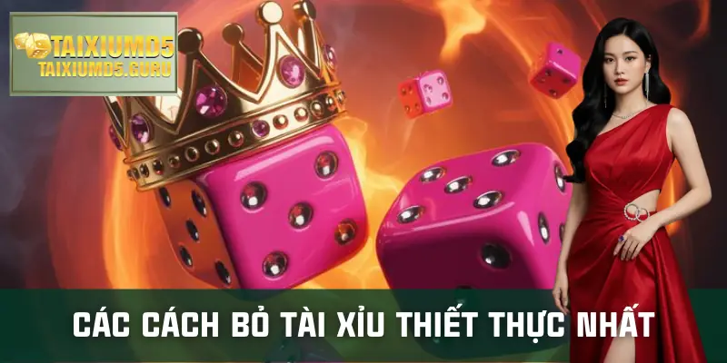 cach-bo-tai-xiu-huong-dan