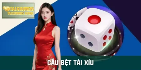 cau-bet-tai-xiu
