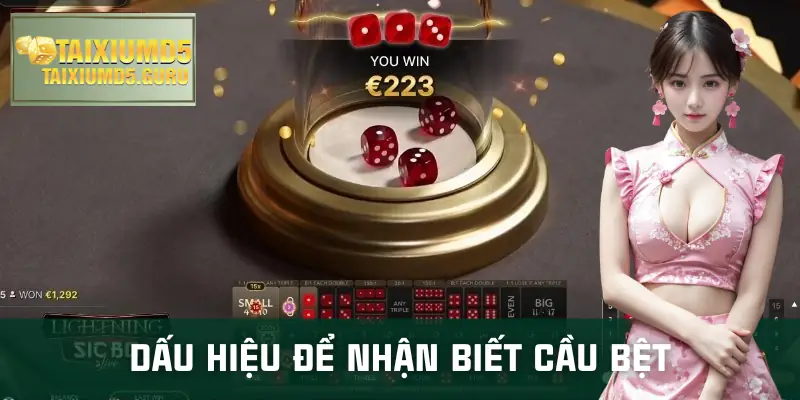 cau-bet-tai-xiu-dau-hieu