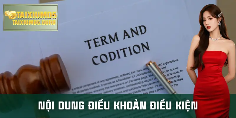 dieu-khoan-dieu-kien-noi-dung