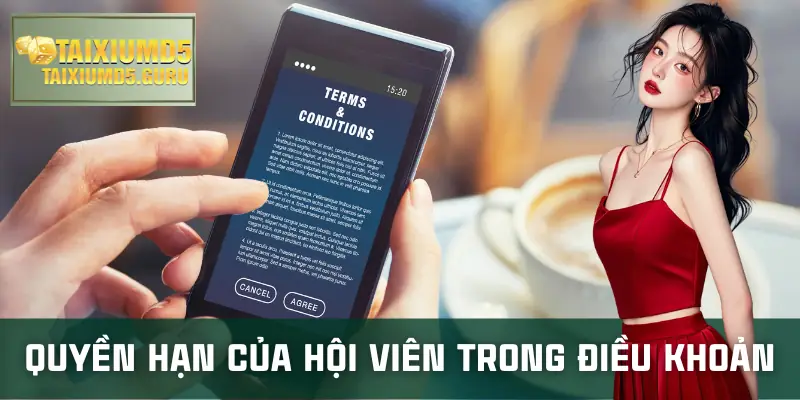 dieu-khoan-dieu-kien-quyen-han