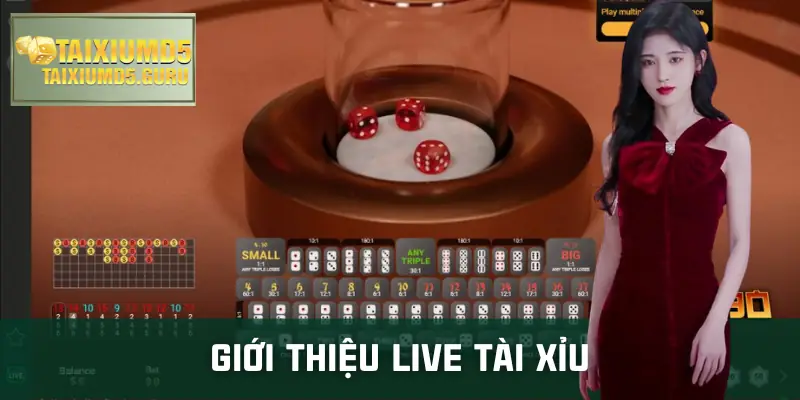 live-tai-xiu-gioi-thieu