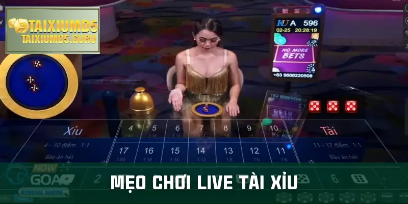 live-tai-xiu-meo-choi