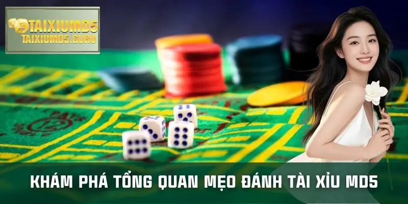 meo-danh-tai-xiu-md5-tong-quan