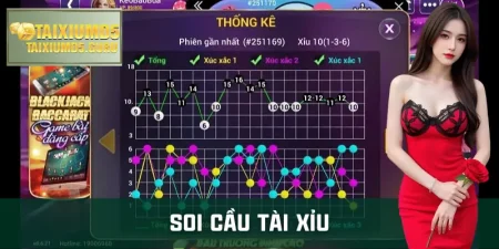 soi-cau-tai-xiu
