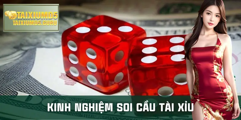 soi-cau-tai-xiu-kinh-nghiem