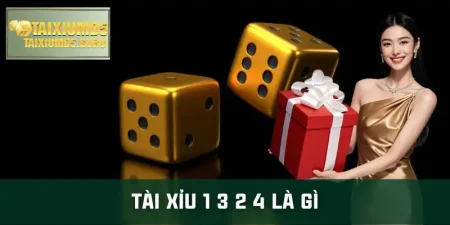 tai-xiu-1-3-2-4-la-gi