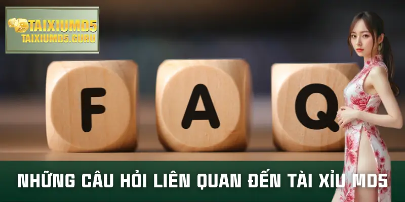 tai-xiu-md5-cau-hoi-lien-quan
