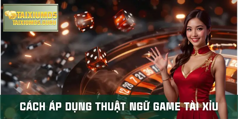thuat-ngu-tai-xiu-online-cach-ap-dung